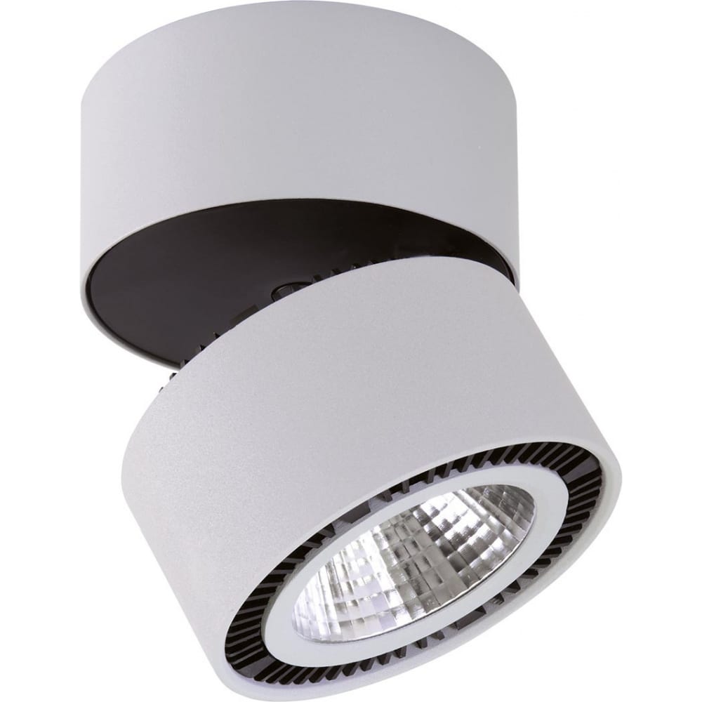 Потолочный светодиодный светильник Lightstar 213830