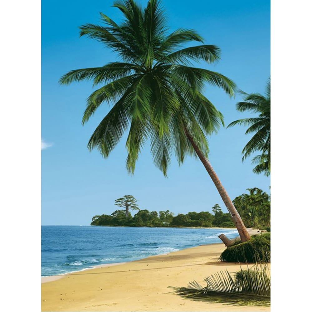Фотообои Студия фотообоев Пальмы на берегу
